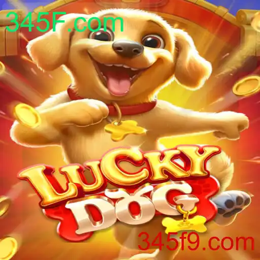 Descubra o Mundo Empolgante de LuckyDog em 345F.com